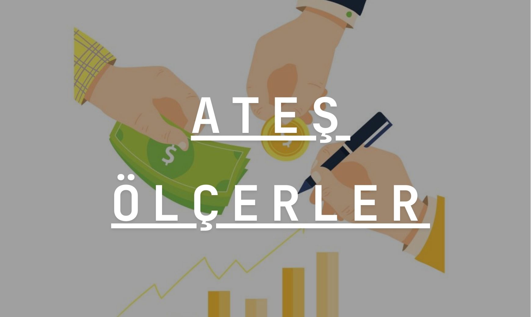 Ateş Ölçerler